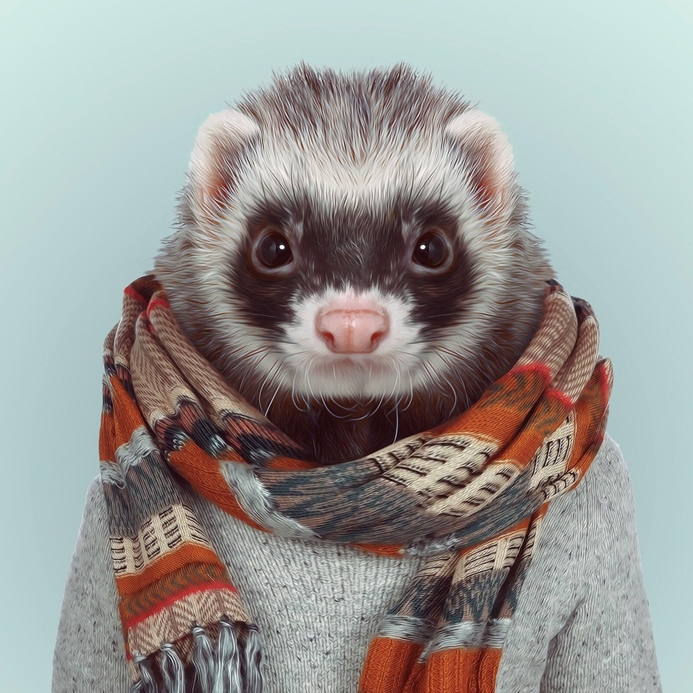 Meet your Posher, Chris